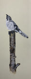 Great grey shrike (7,5 cm)