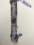 Great grey shrike (7,5 cm)