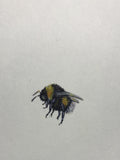 Bumblebee (6,0 cm)