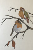 1st LIMITED EDITION 7/10+2 "Bird with autumn leaves" (24 x 27 cm)