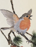 Robin on pine branch (7,5 cm)