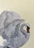 Swan (7,5 cm)