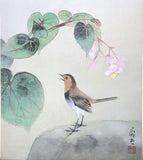 Robin with wild hydrangea (24 x 27 cm)