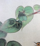Robin with wild hydrangea (24 x 27 cm)