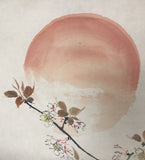 Rising sun and Sakura