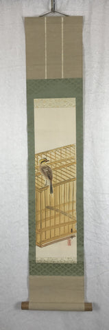 Bird on cage - very short!!