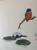 Kingfisher with water lilies (24 x 27 cm)