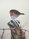 Robin in winter (24 x 27 cm)