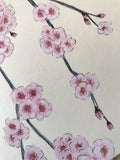 Japanese white-eye with blossom (*24 x 27 cm)