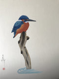 Kingfisher (24 x 27 cm)