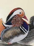 Pair of mandarin ducks (24 x 27 cm)