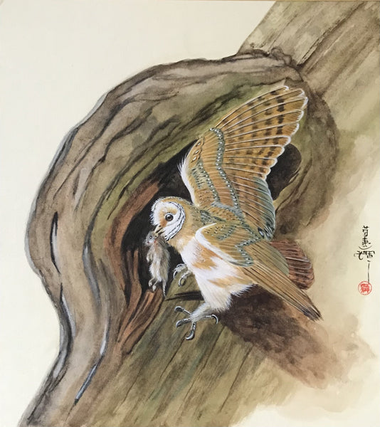 Owl (24 x 27 cm) – Daibokai - Japanese Art