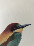 Bee-eater (24 x 27 cm)