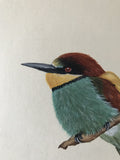 Bee-eaters (24 x 27 cm)