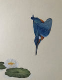 Kingfisher with water lily (24 x 27 cm)