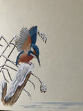 Kingfisher in winter (24 x 27 cm)