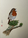 Robin (24 x 27 cm)