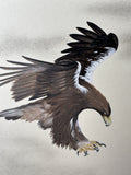 Flying eagle (24 x 27 cm)
