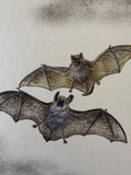 Bats with moon (24 x 27 cm)