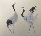 Cranes in snow (24 x 27 cm)