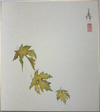 Maple leaves in autumn (24 x 27 cm)