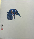 Kingfisher (12 x 13,5 cm)