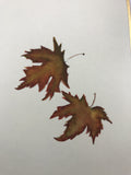 Maple leaves - autumn (*12 x 13,5 cm)