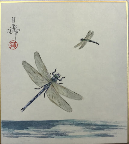 Dragon-flies (12 x 13,5 cm)