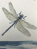 Dragon-flies (12 x 13,5 cm)