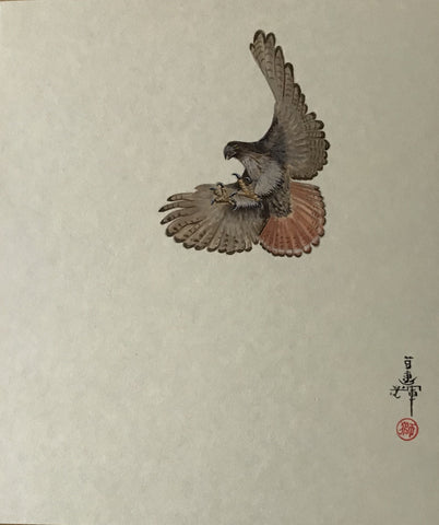 Red tail hawk (18 x 21 cm)