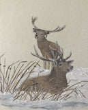 Deers in snow / winter (*18 x 21 cm)
