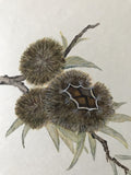 Chestnut (18 x 21 cm)