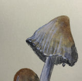 Mushrooms / autumn (*6,0 cm)