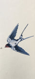 Swallow (7,5 cm)