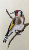 Goldfinch / Stieglitz (7,5 cm)