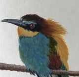 Bee-eater (7,5 cm)