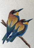 Bee-eaters (7,5 cm)