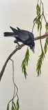 Raven (7,5 cm)