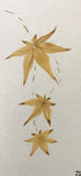 Maple leaves (7,5 cm)
