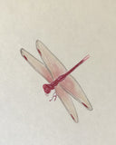 Dragon fly (7,5 cm)