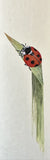 Ladybird (6,0 cm)