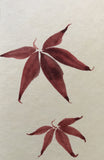 Maple leaves (6,0 cm)