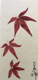 Maple leaves (6,0 cm)