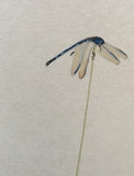 Dragon fly (6,0 cm)